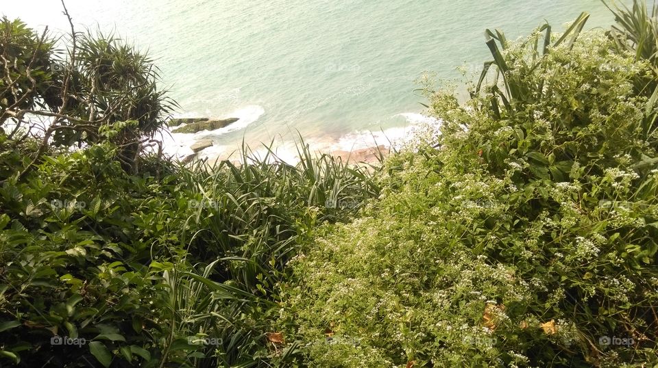 vanjizum sea port forest