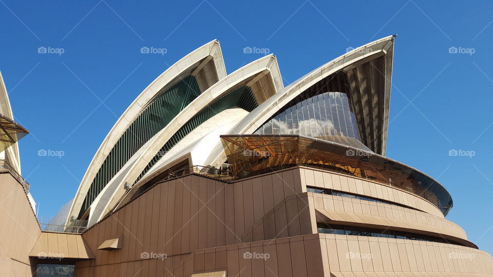 The incredible curves and cuts that make up the Sydney Opera House are breathtaking.