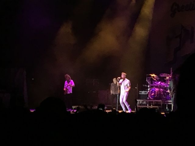 311 during Florida Man 