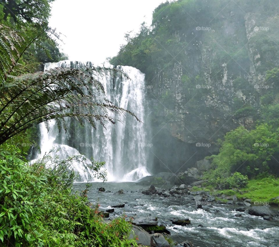 A hidden waterfall in southern Brazil.