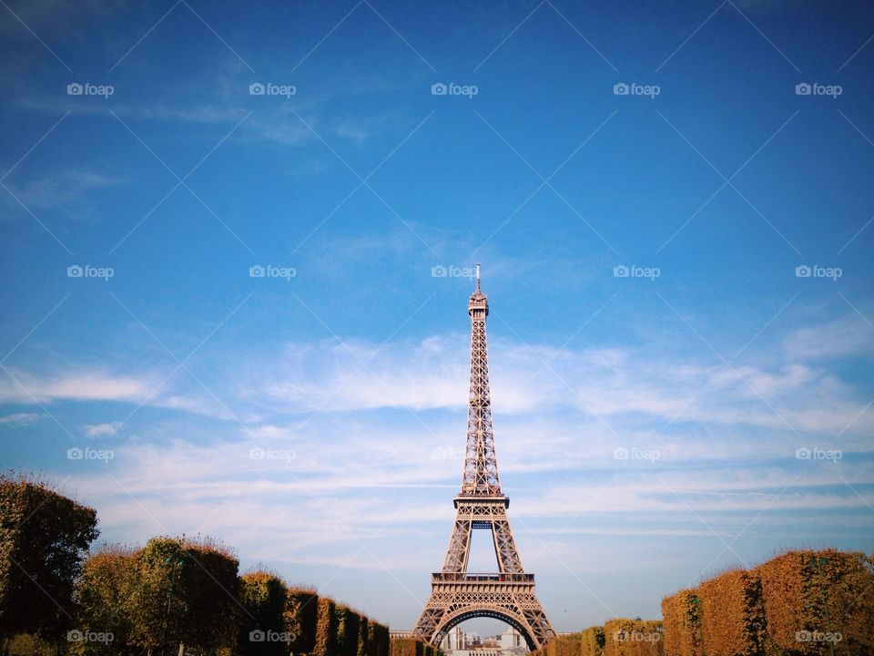 Eiffel Tower 