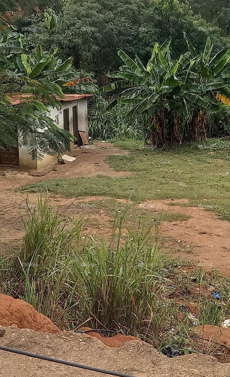 A public toilet in the middle of the forest.Odd, what's that doing there. Guess it's useful to the farmers and hunters