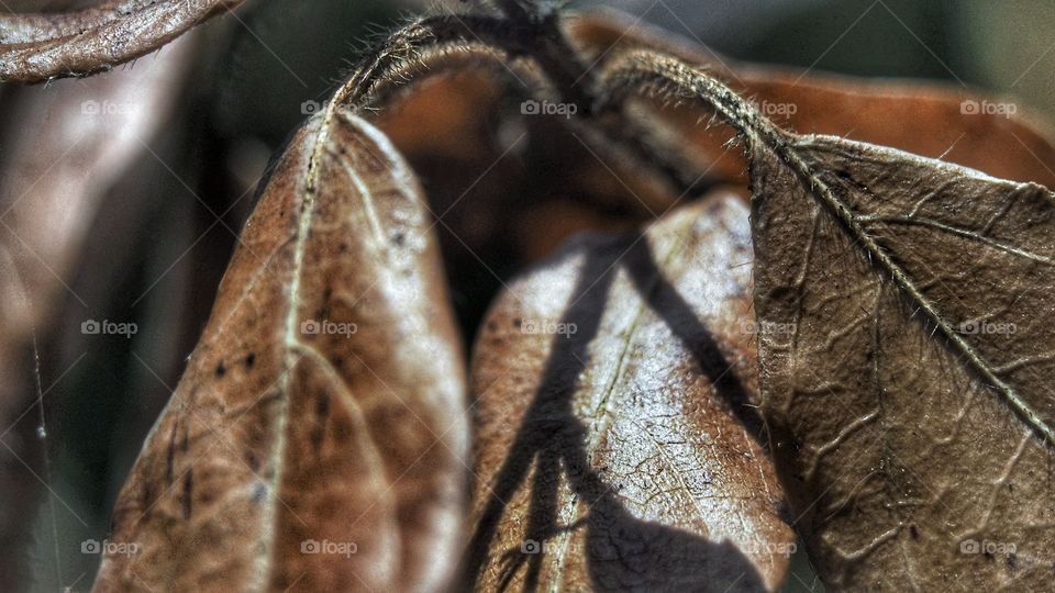 A las puertas del Otoño