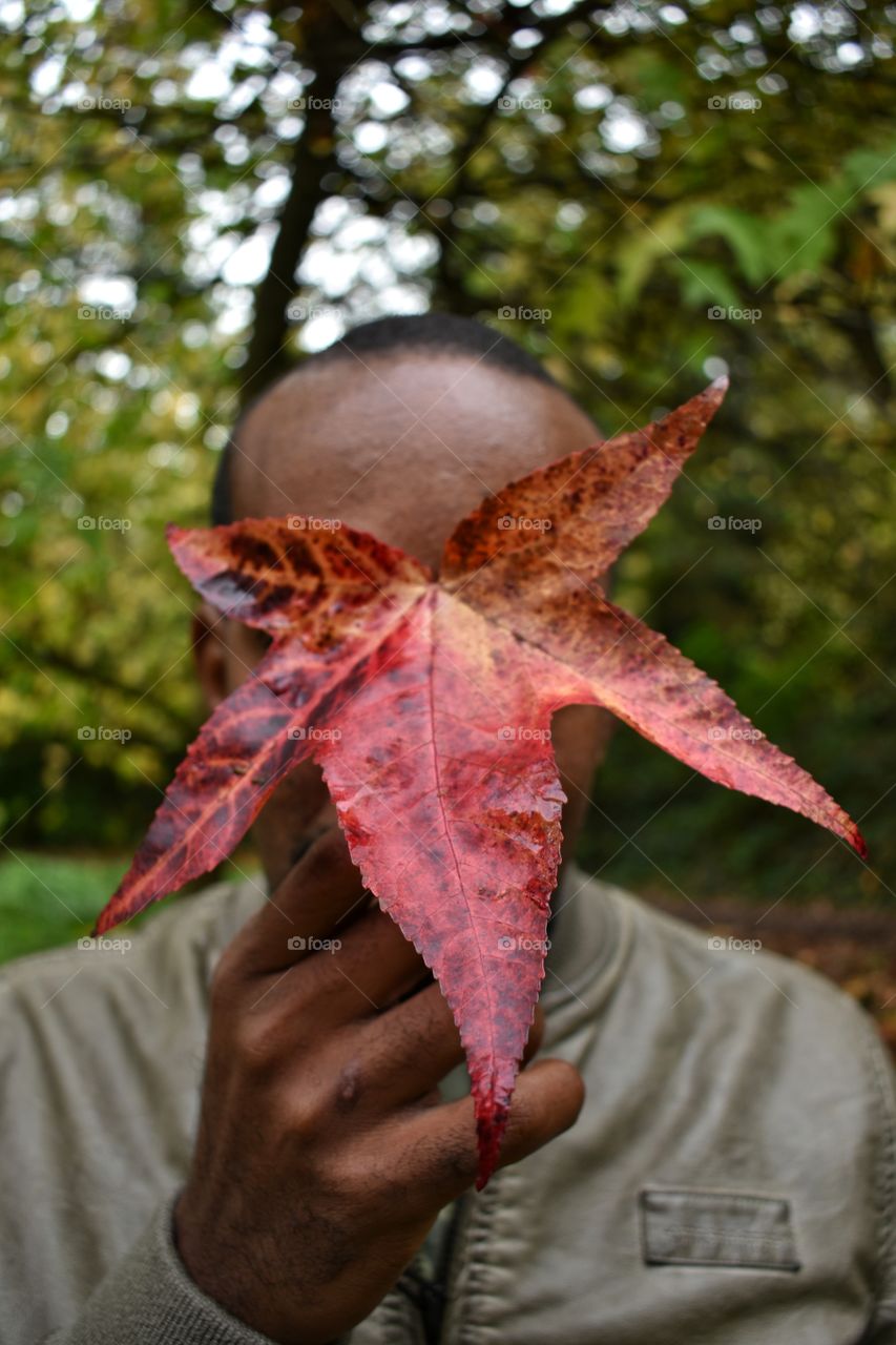 foliage