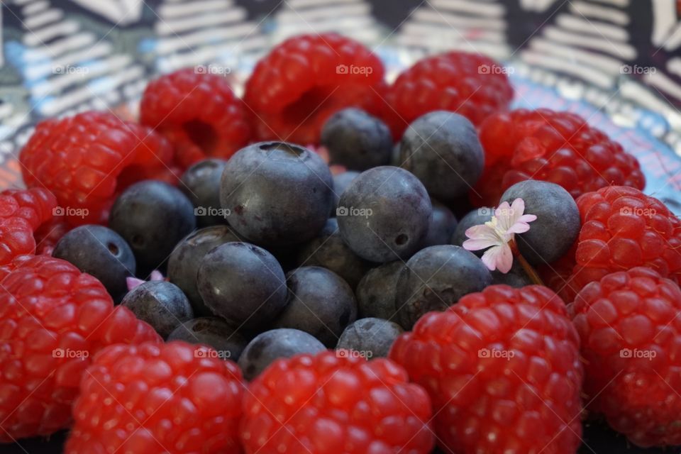 Red And Purple Berries