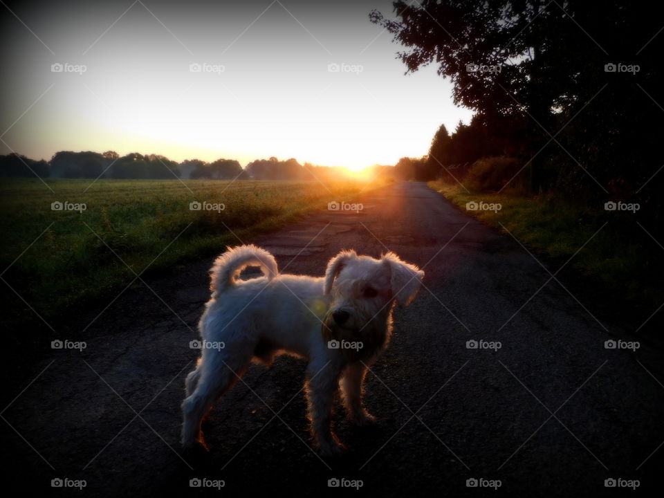 Fiete in the morning