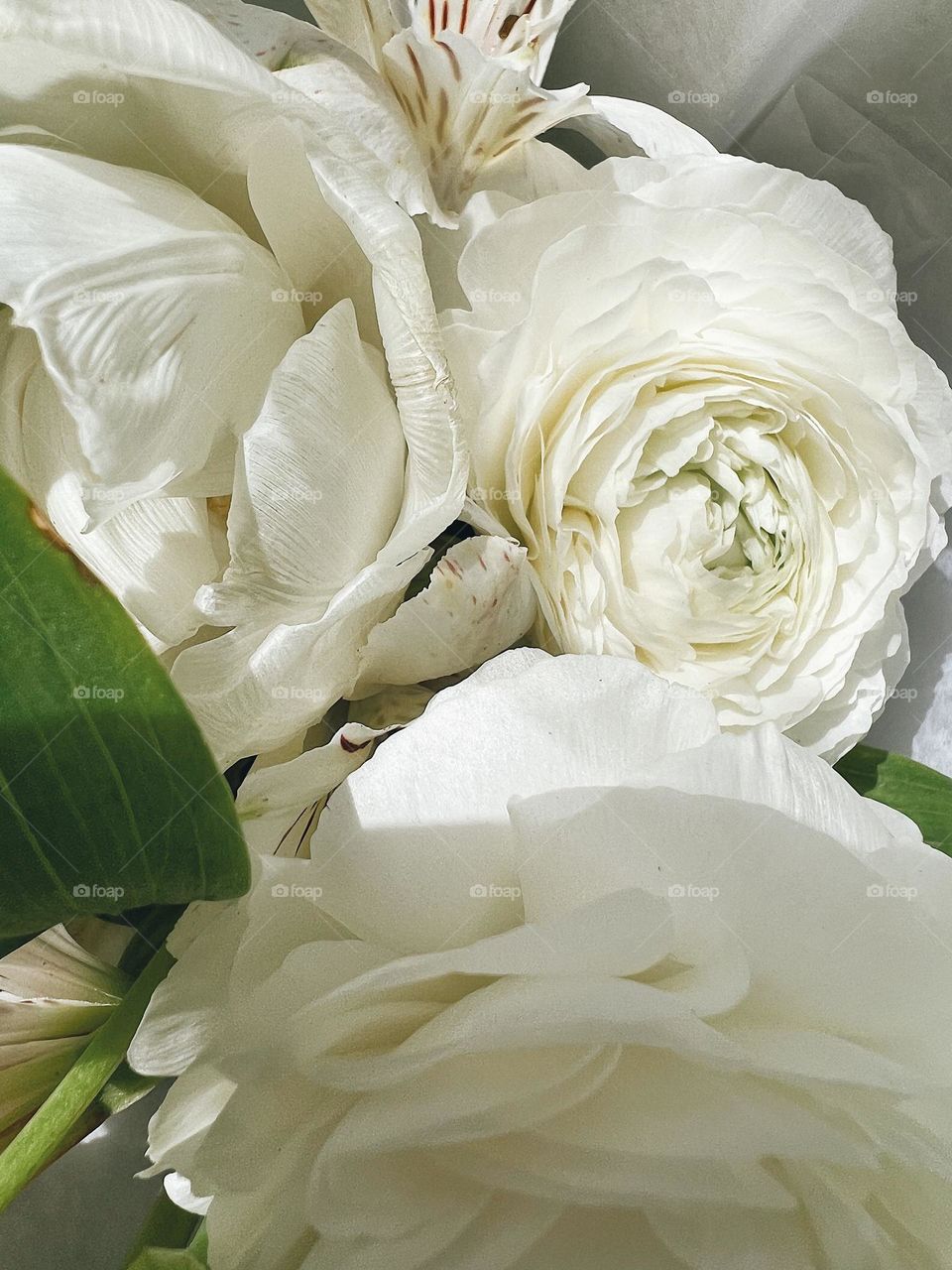 White flowers bouquet macro closeup