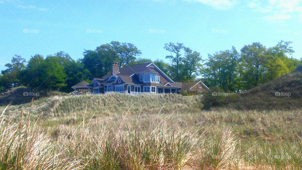 House, Grass, No Person, Wood, Summer