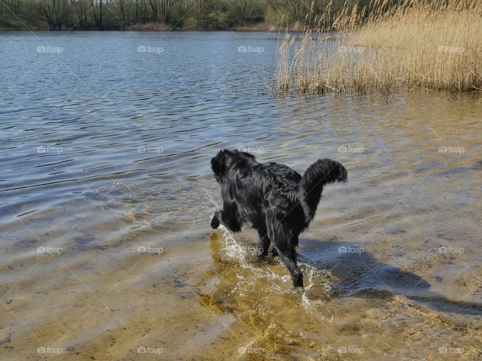 Playing at lakeside