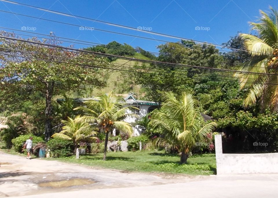 Photo from moving car traveling in Roatan, Honduras