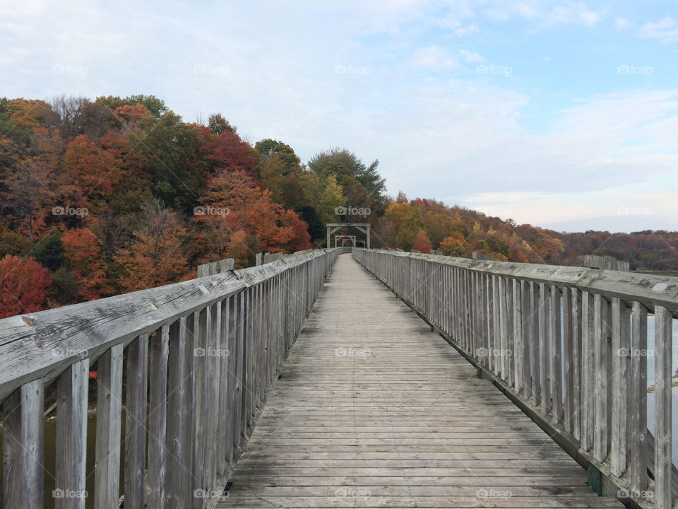 Autumn trail/bridge 