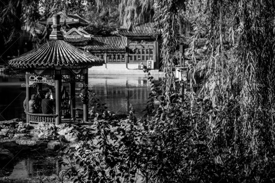 Asia China Beijing old Pavilion with Trees at a lake chinese Culture black and white