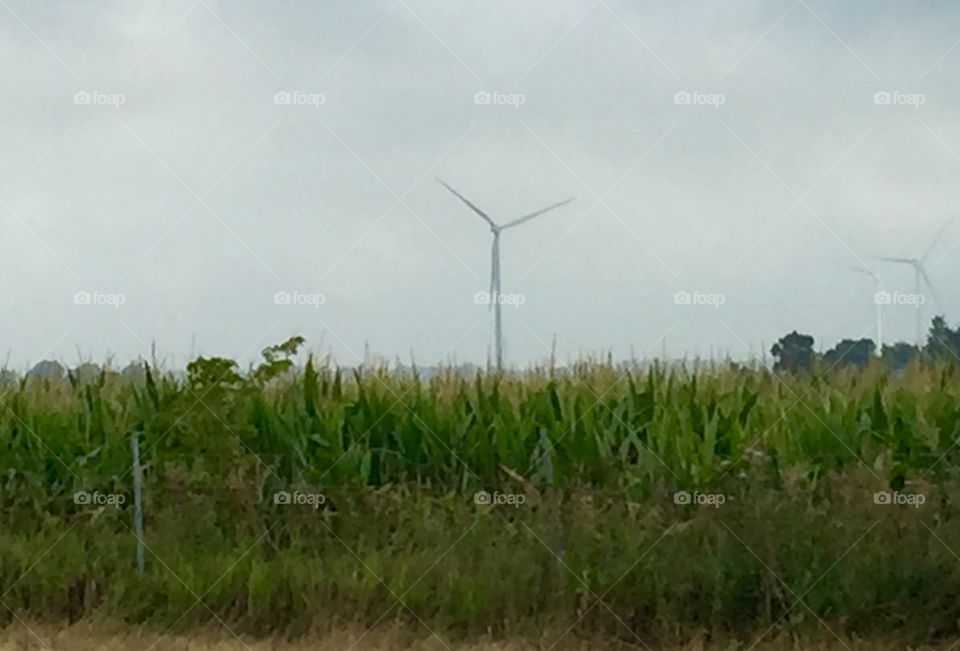 Wind turbine 