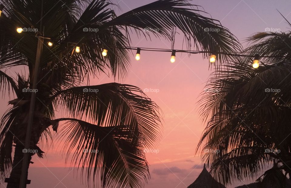Pink Sky with Palm Trees