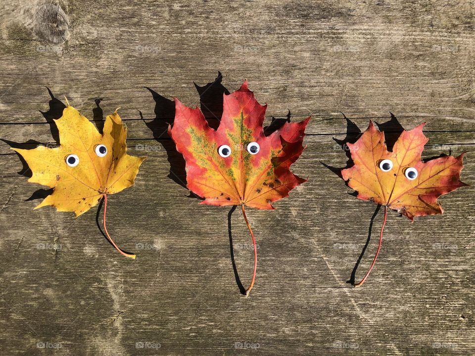 Colourful maple leaves with black googly eyes on rustic wooden table