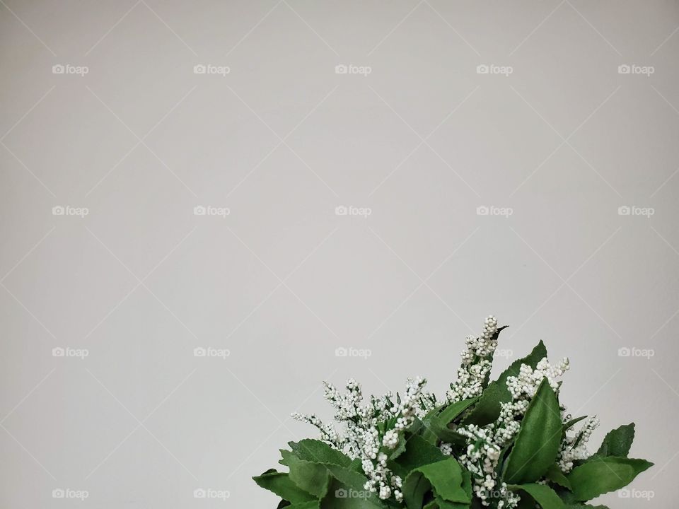 White background with a soft white and green flower at the bottom right corner