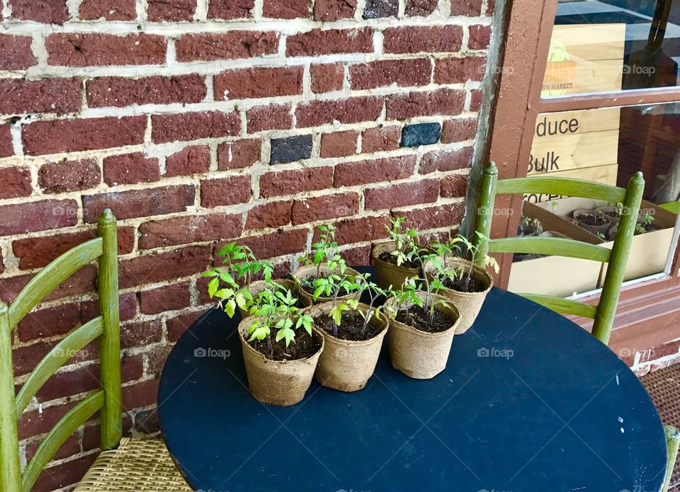 Two Green Chairs with Plants