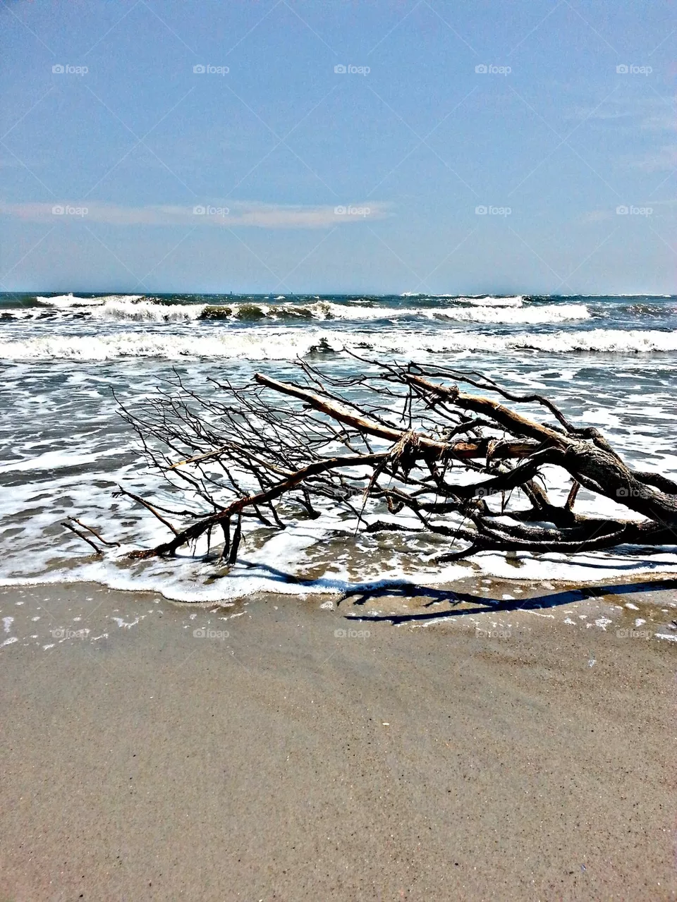 beach days