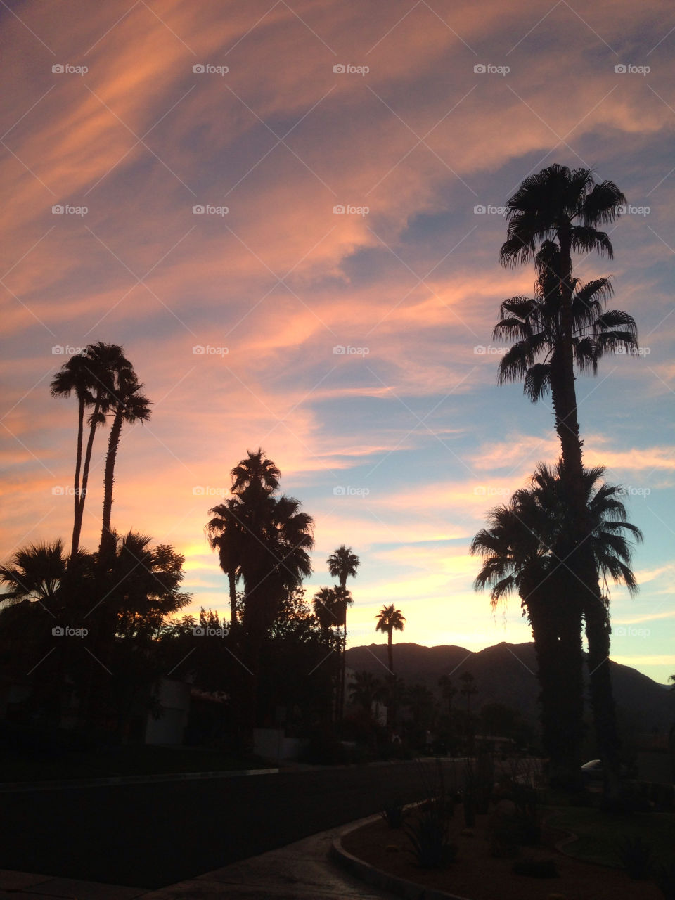 sky sunset palm clouds by davidi92260