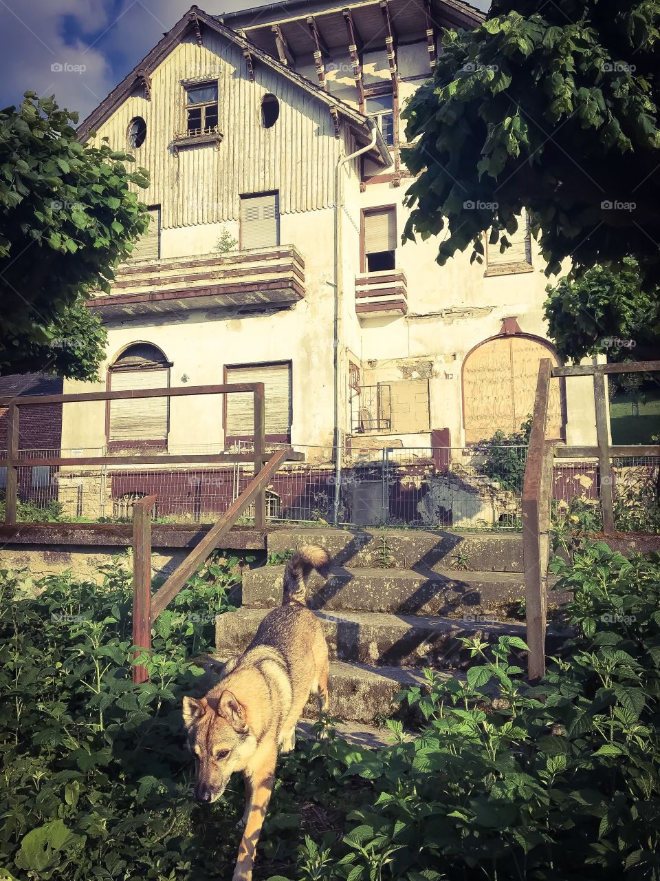 Abandoned house