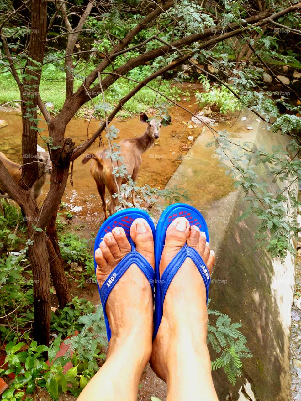 Looking at each_other .