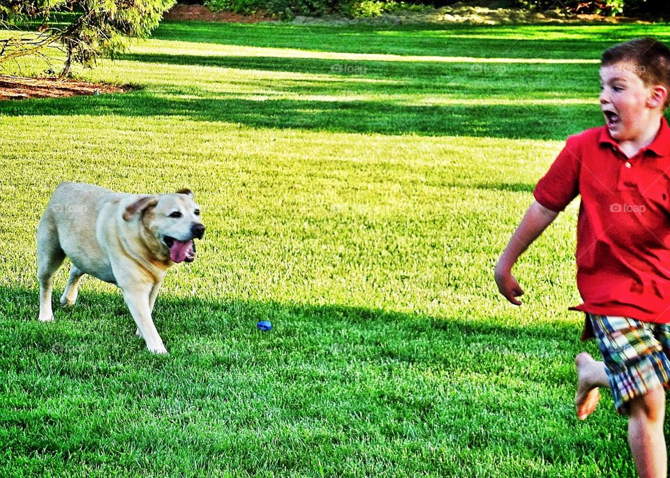 The cutest pet dog in the world