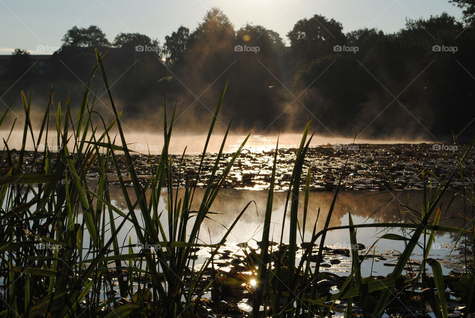 morning lake sunrise mist by salsa