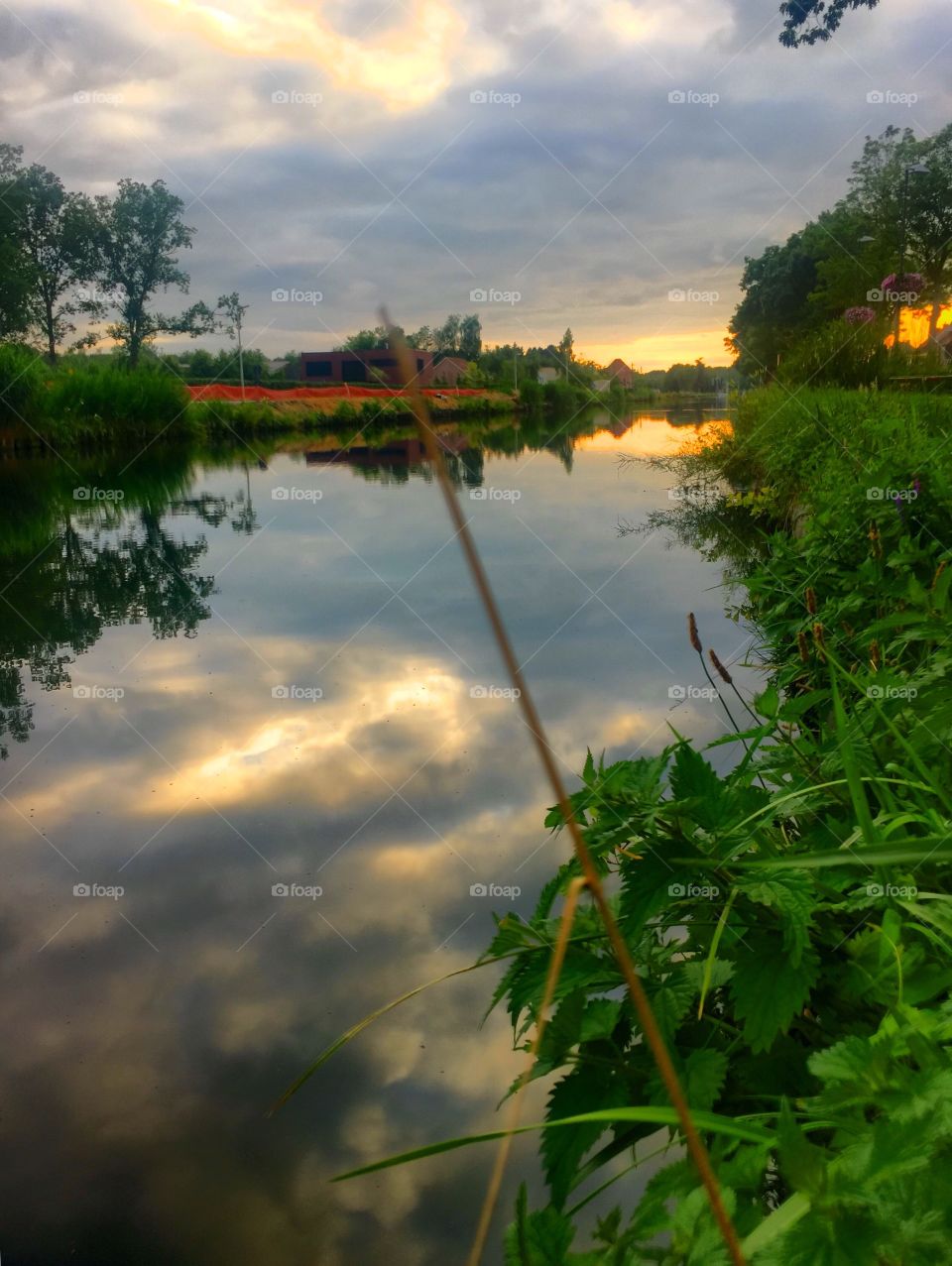 Cloudy waters