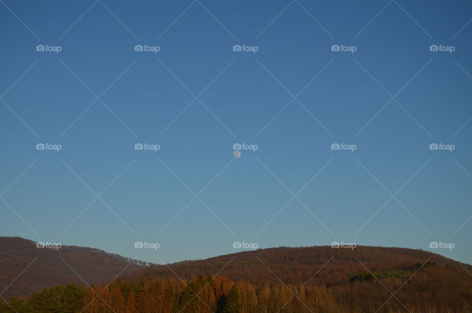 look at these trees with their autumn colors in the sun and this winter moon on a blue sky