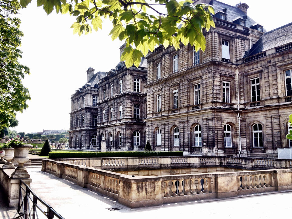 Palacio del Luxemburgo. Palacio del Luxemburgo (Paris - France)