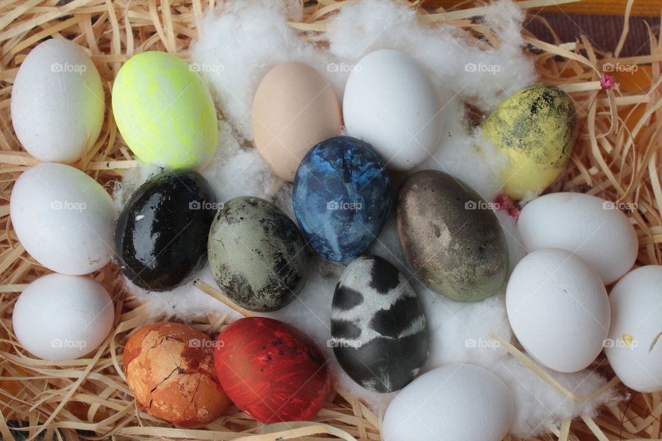 coloridos eggs