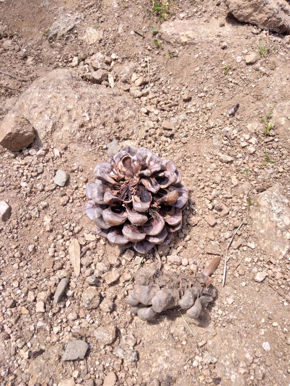 Editors' Choice: Photo of the Week