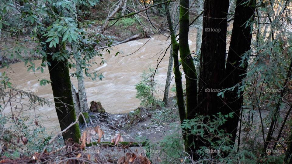 Stream swelling with rain water