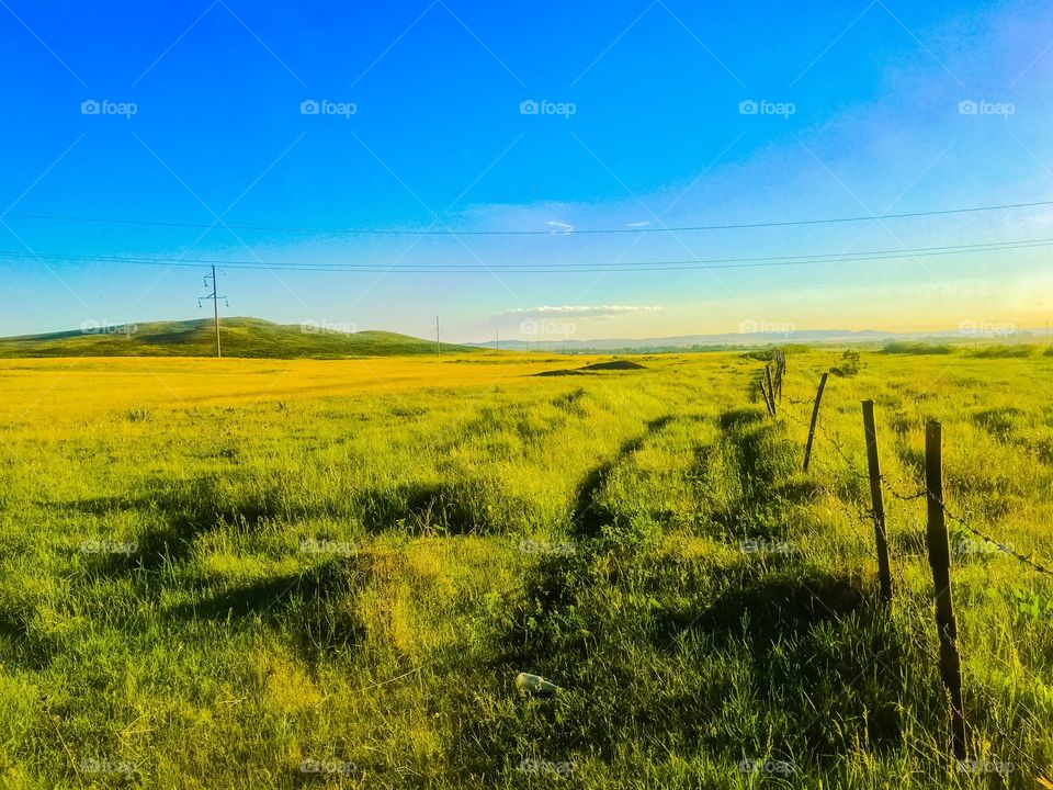 summer steppe
