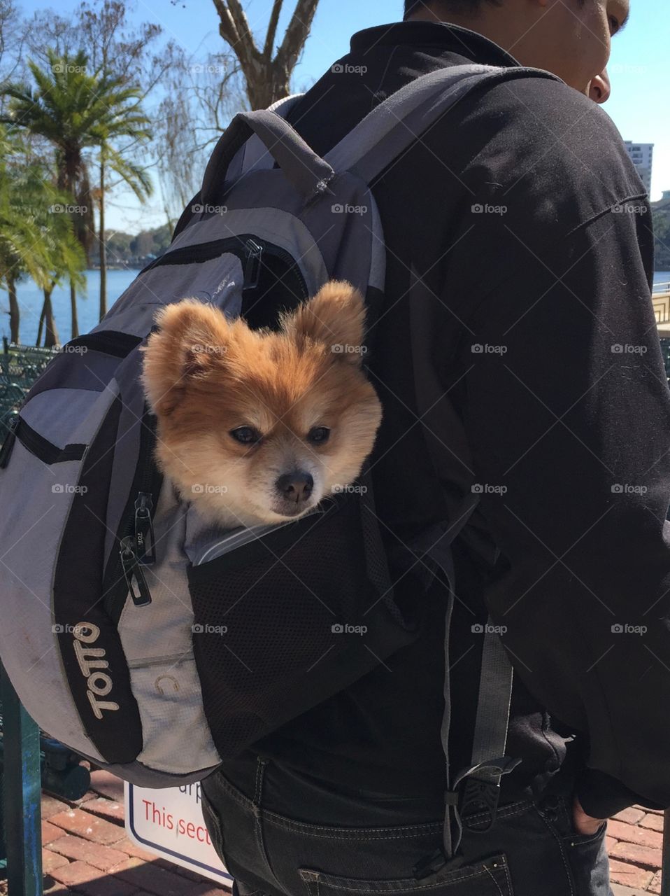 Backpack poof