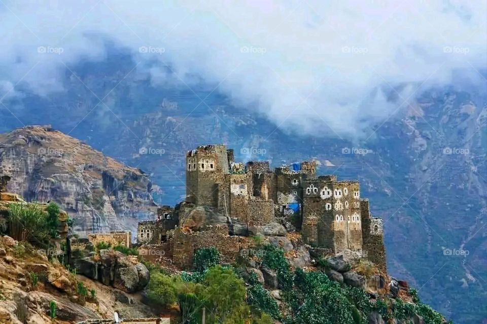 A very beautiful picture, and there is no better picture than it. There is no better picture of green herbs and colorful, red and white roses than it. Glory be to God, the natural and picturesque view, and there is no more