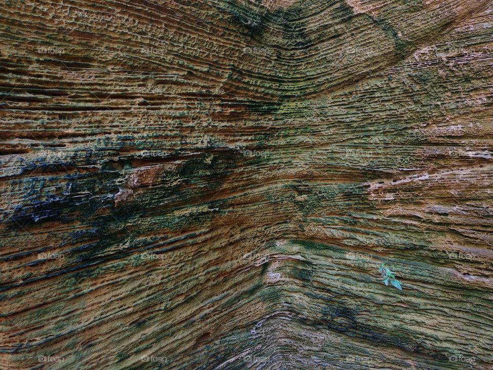 Texture of wall at cave.