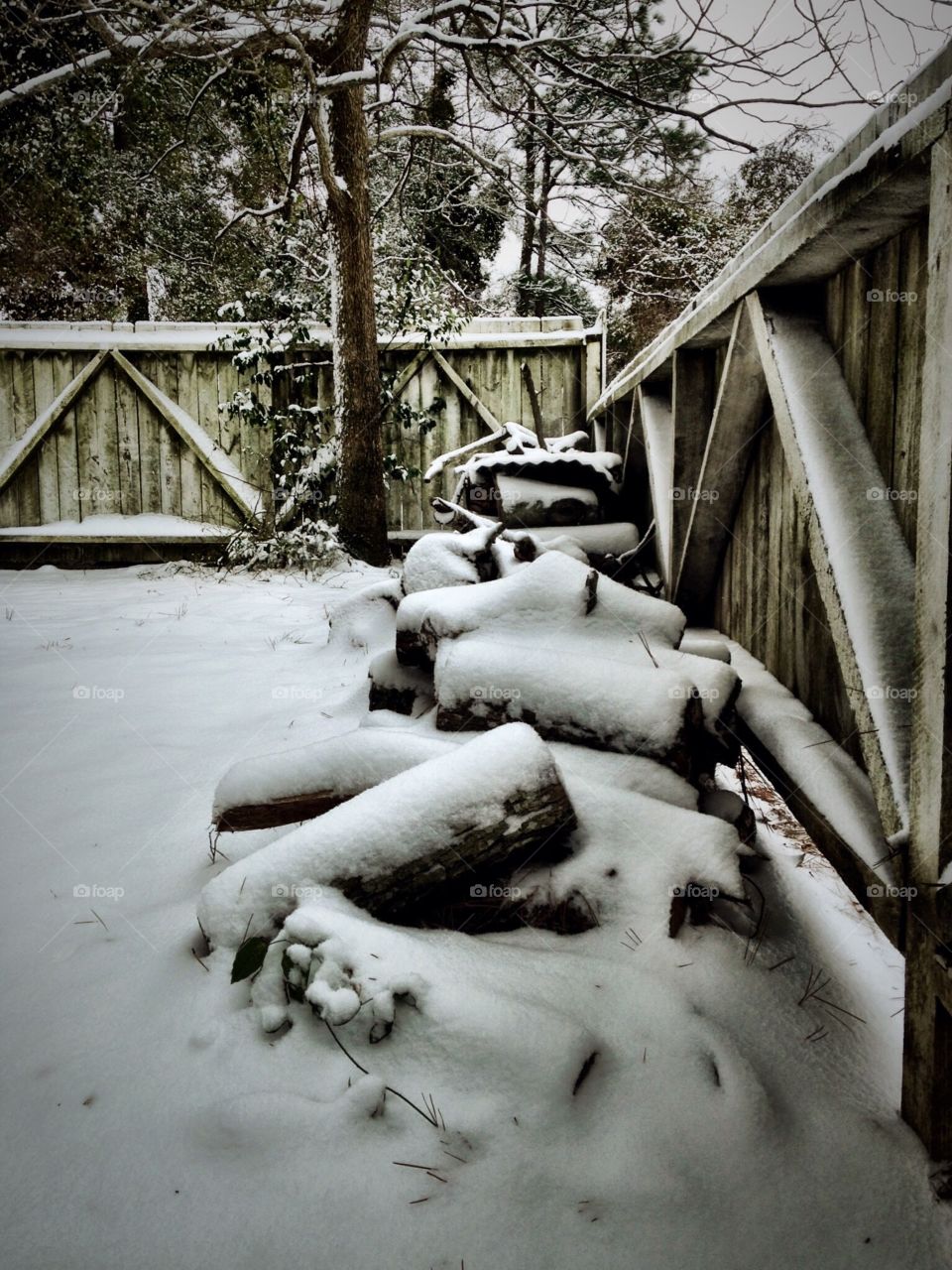 Snowy logs. Snowy logs by fence.