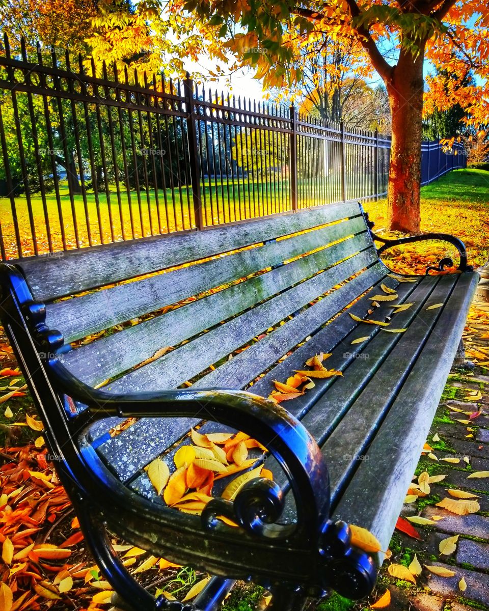 park bench in autumn