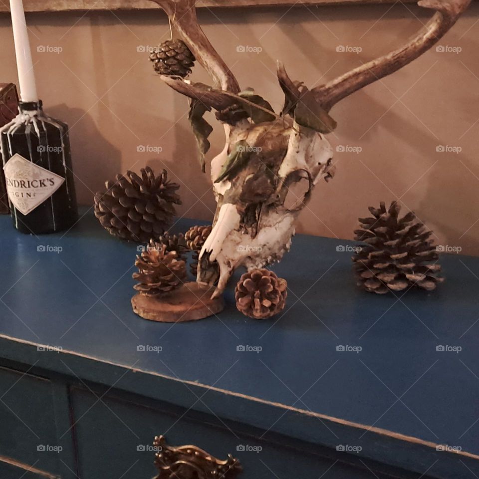 rustic blue draw and top with skeleton head and horns and candle in bottle display