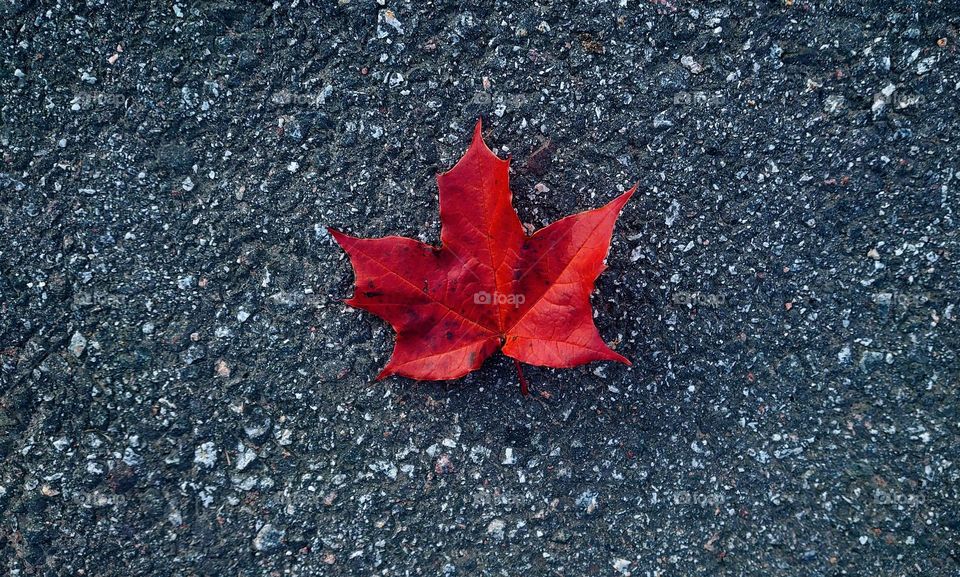 Hello autumn 🍁 Minimalism 🍁 Outdoor 🍁