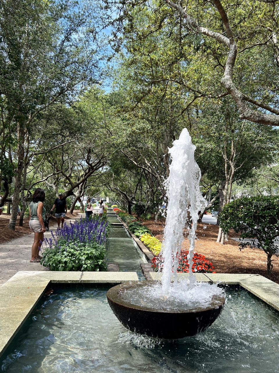 Bubbling fountain in foreground on a sunny day. Background in city park with trees, gravel walking path, and spring blooming plants.