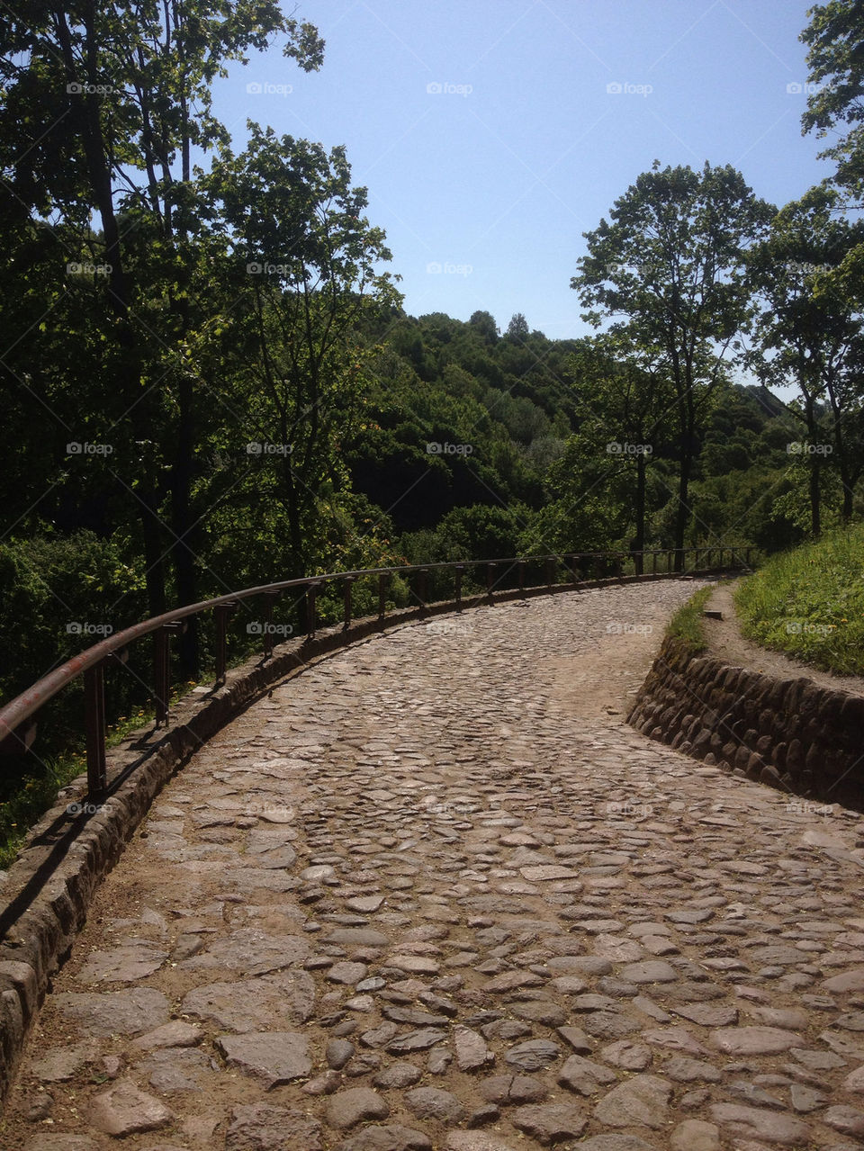 landscape green nature road by penguincody