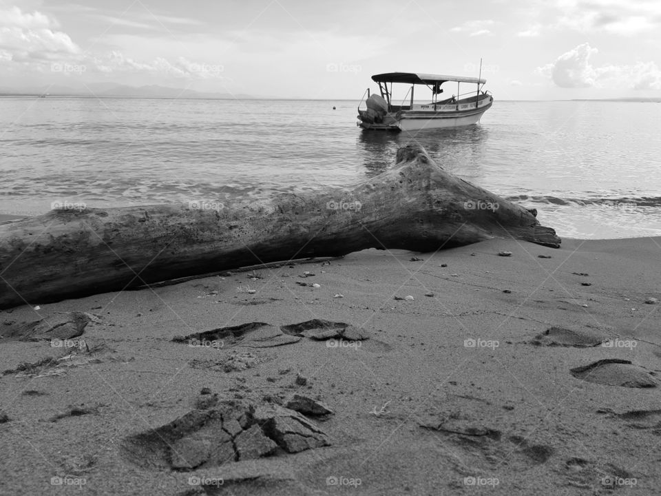 Monochrome style of a big trunk and a boat on the sandy beach