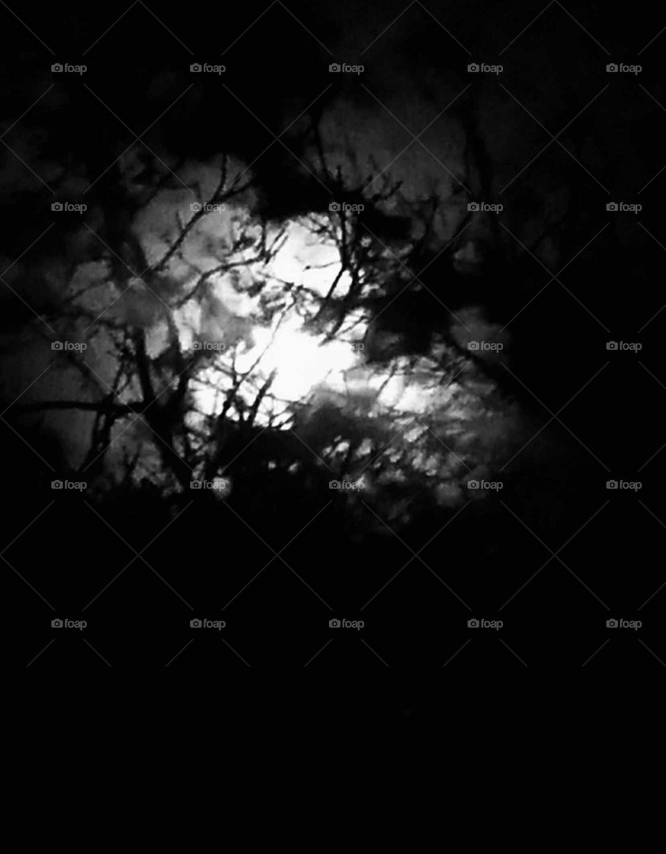 moon light silhouette
