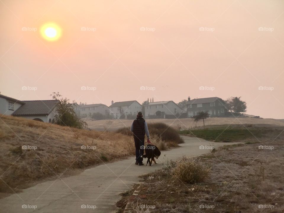 Man and dog 