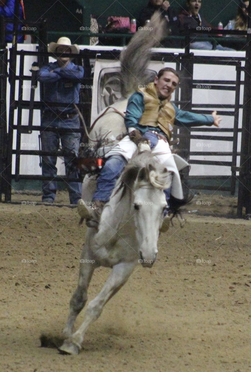 Bucking Bronco at the MN Horse Expo Rodeo 