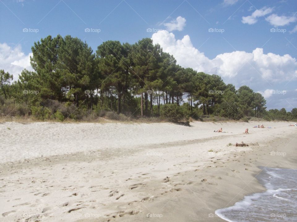 Scenic view of the beach