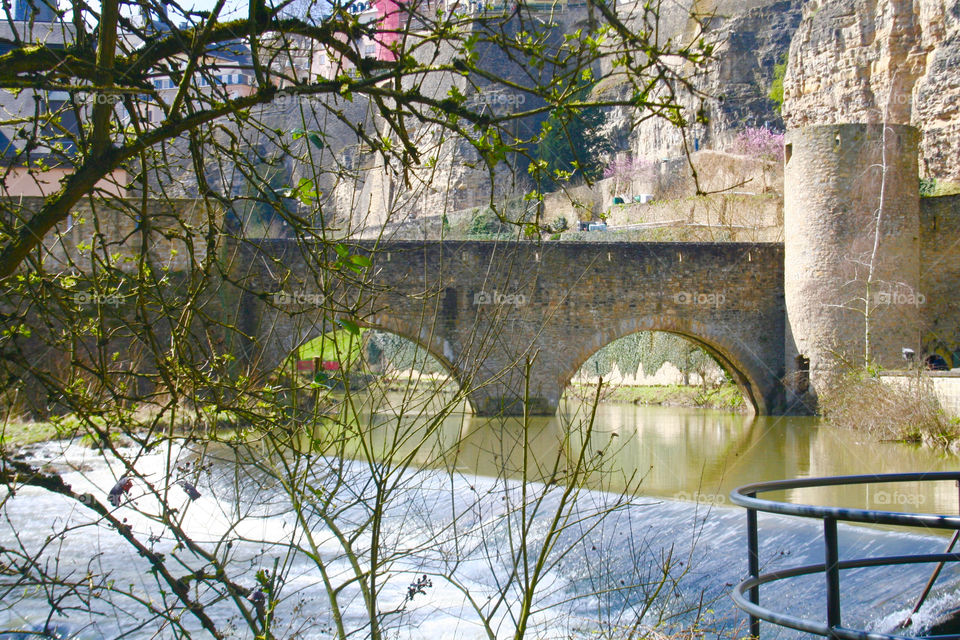 Nature, Bridge, Tree, Water, Landscape