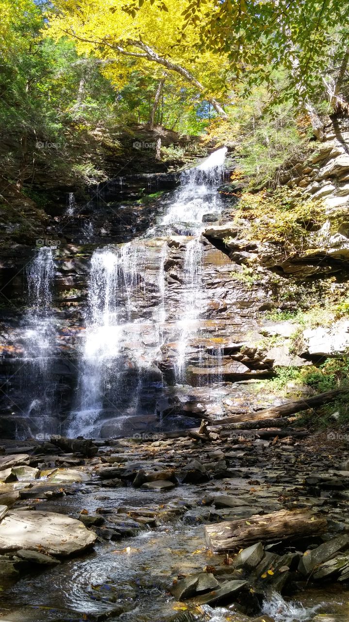 Nature, Water, Wood, Waterfall, River